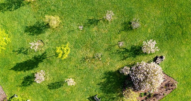 Rozkvetlá botanická zahrada v pražské Troji. (9. května 2021)