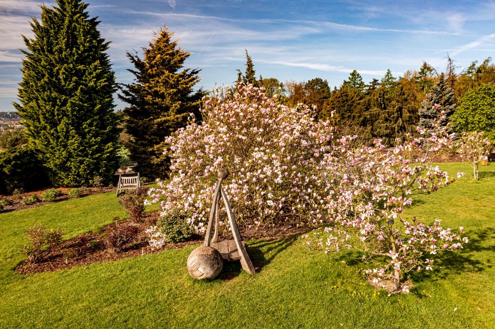 Rozkvetlá botanická zahrada v pražské Troji. (9. května 2021)