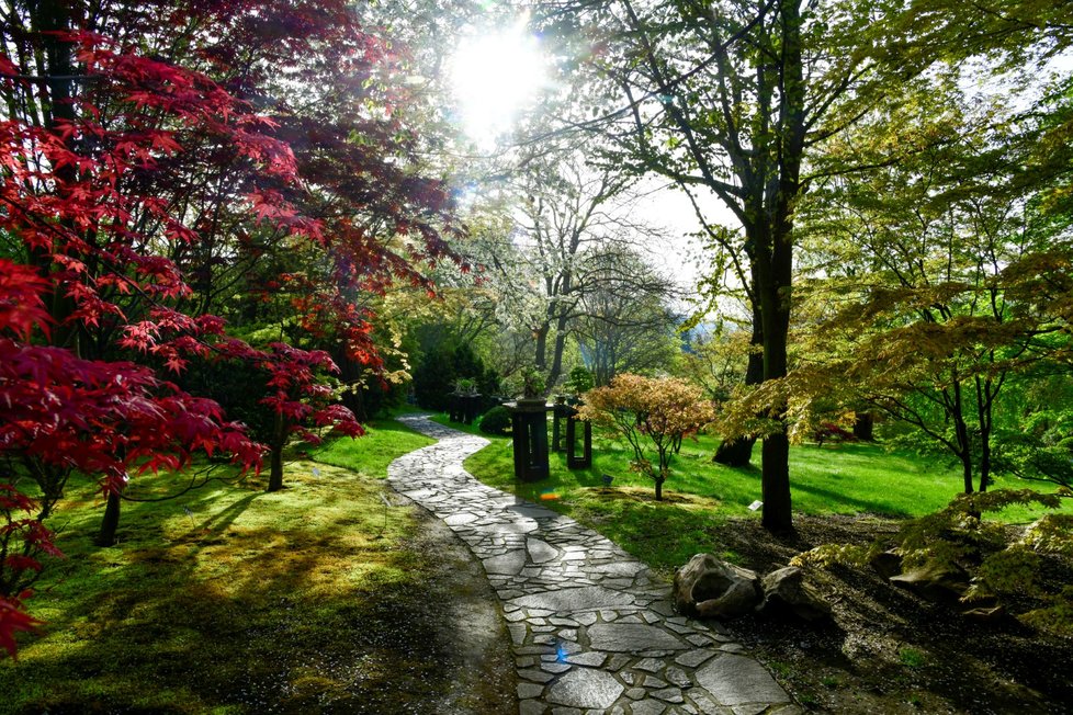 Rozkvetlá botanická zahrada v pražské Troji. (9. května 2021)