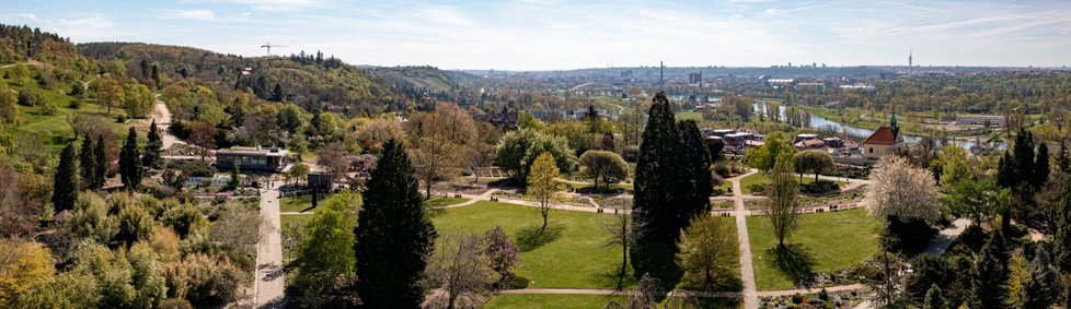 Rozkvetlá botanická zahrada v pražské Troji. (9. května 2021)