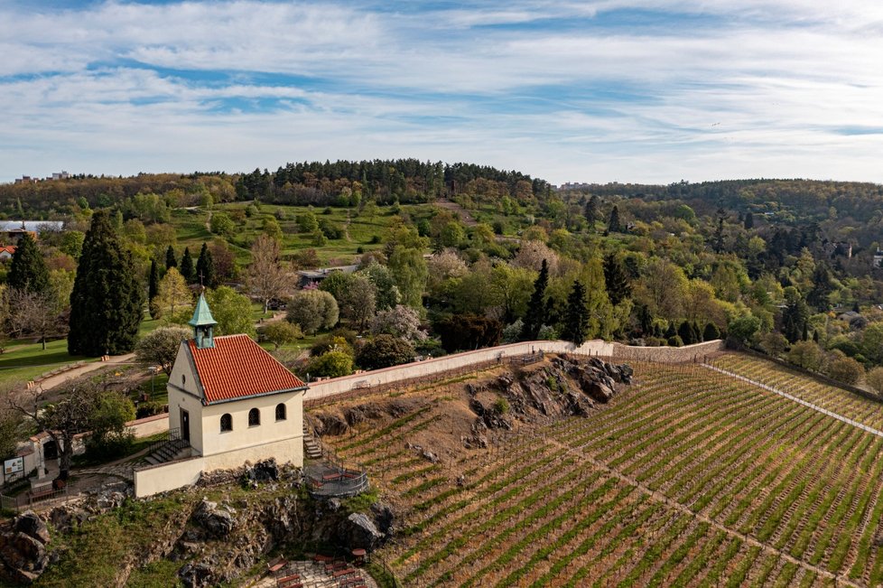 Rozkvetlá botanická zahrada v pražské Troji (9. května 2021)