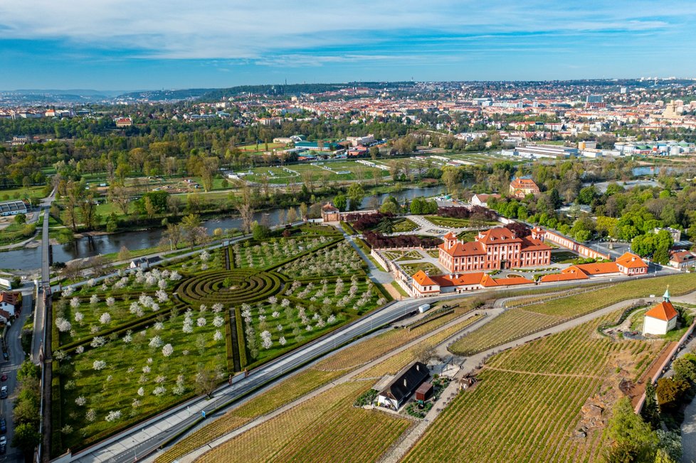 Rozkvetlá botanická zahrada v pražské Troji (9. května 2021)