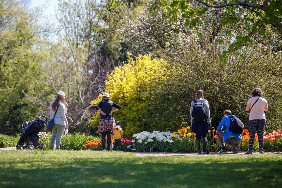 Rozkvetlá botanická zahrada v pražské Troji. (9. května 2021)