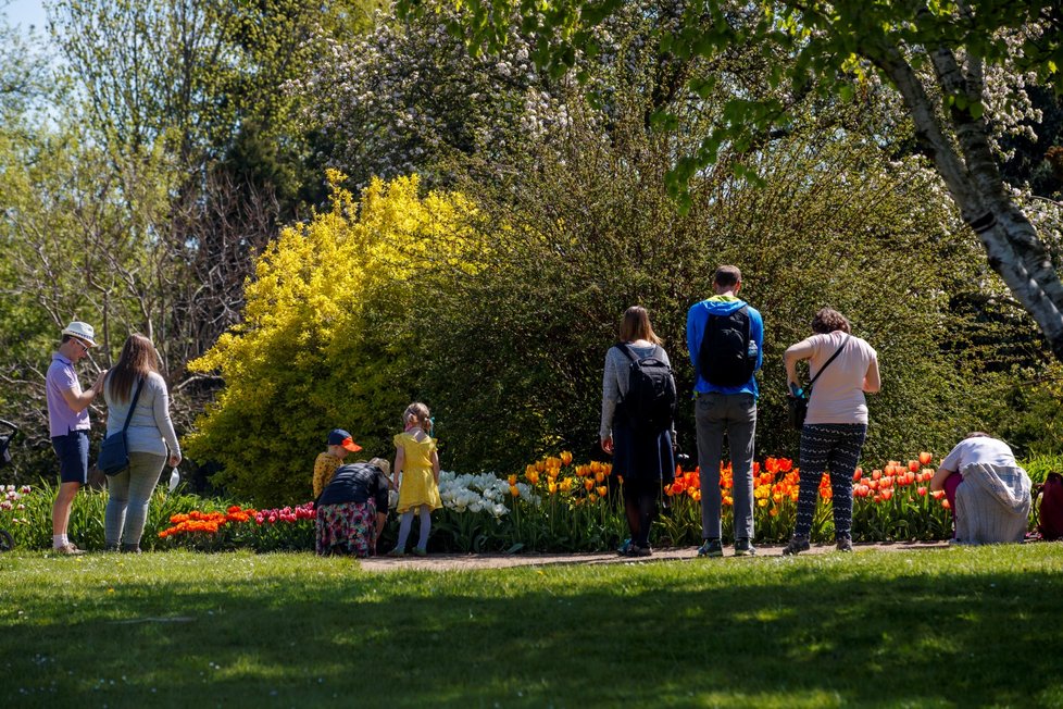 Rozkvetlá botanická zahrada v pražské Troji. (9. května 2021)