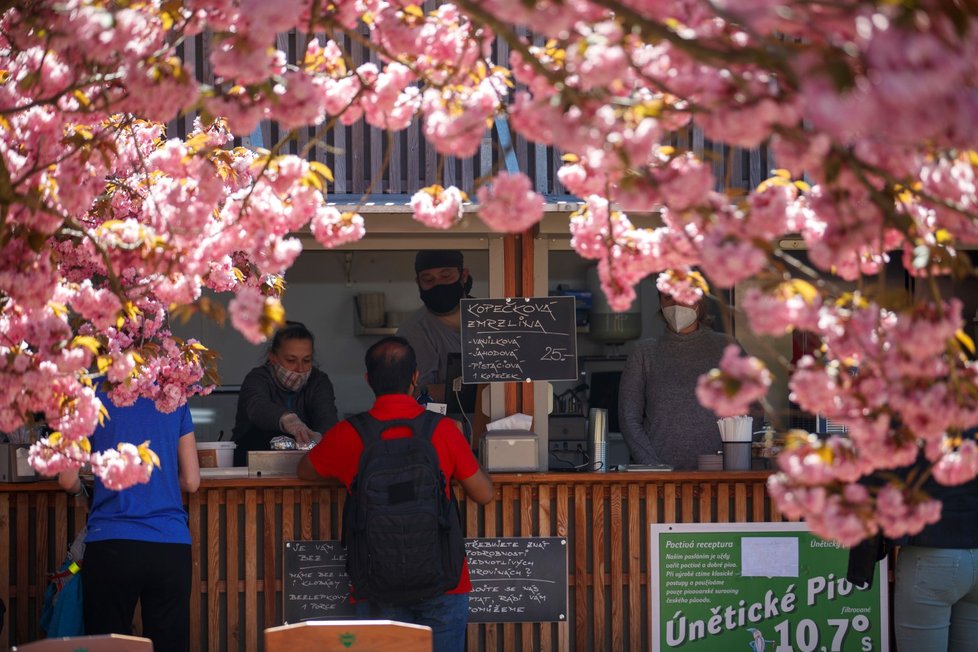 Rozkvetlá botanická zahrada v pražské Troji. (9. května 2021)