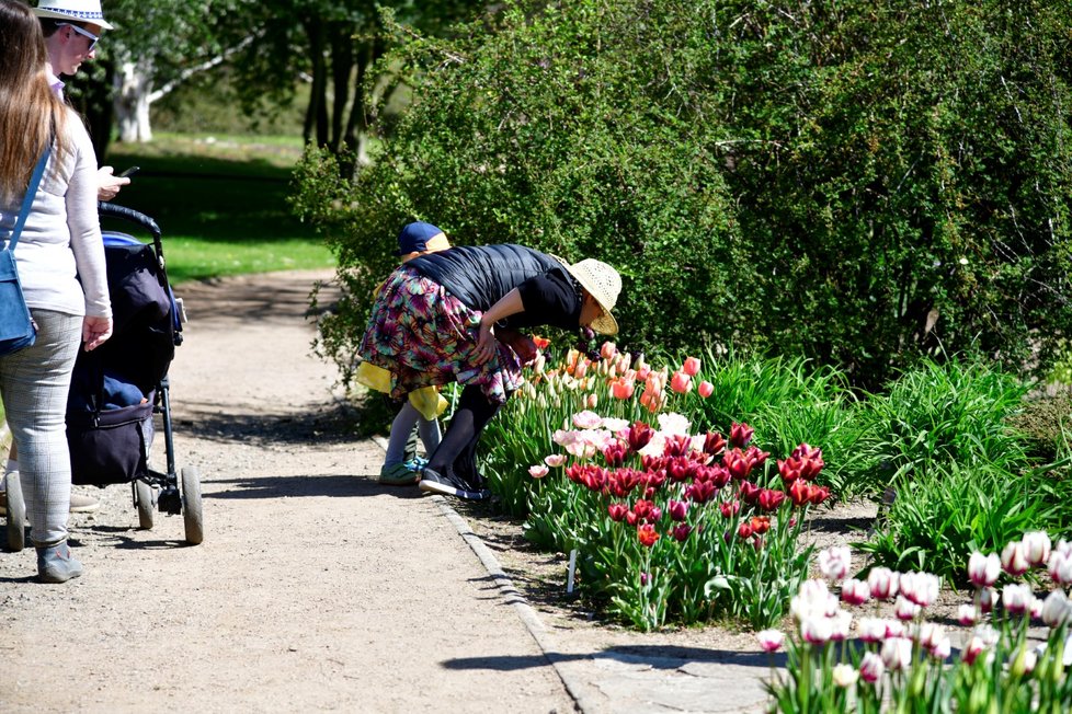 Rozkvetlá botanická zahrada v pražské Troji. (9. května 2021)