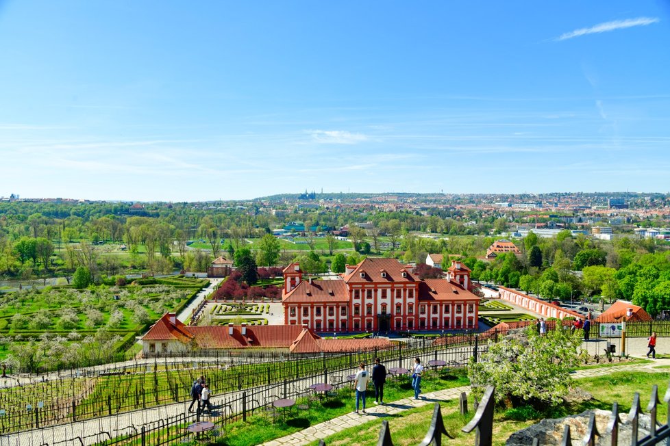 Rozkvetlá botanická zahrada v pražské Troji. (9. května 2021)