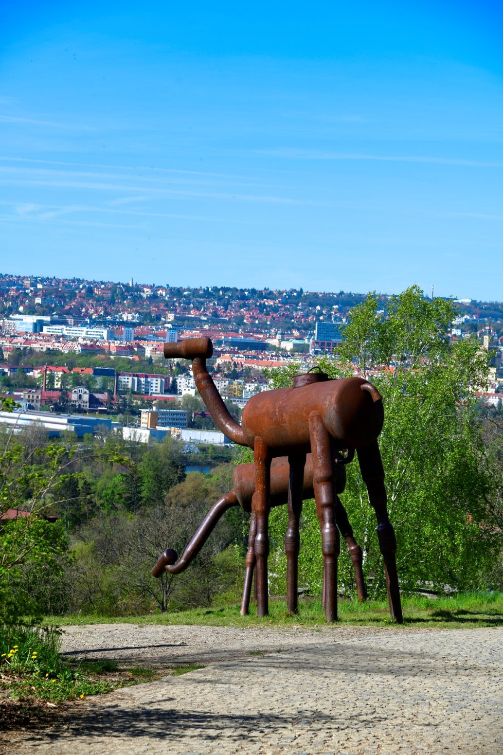 Rozkvetlá botanická zahrada v pražské Troji. (9. května 2021)