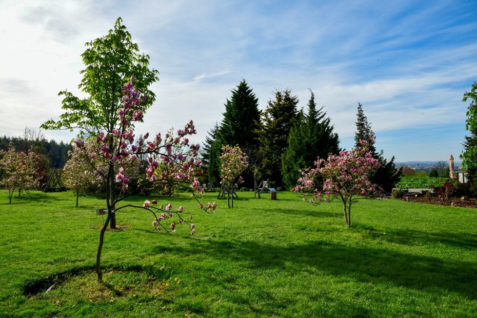 Rozkvetlá botanická zahrada v pražské Troji. (9. května 2021)