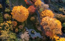 Podzim vymaloval Česko! Proč listí září víc než loni