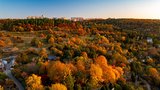 Dechberoucí podzim v botanické zahradě: Stromy hrají všemi barvami, podívejte se