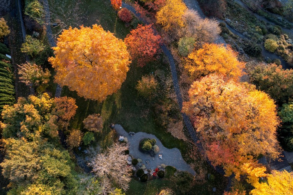 Podzim v pražské botanické zahradě. (23. října 2021)