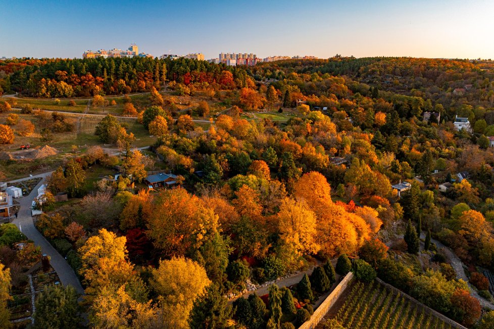 Podzim v pražské botanické zahradě. (23. října 2021)