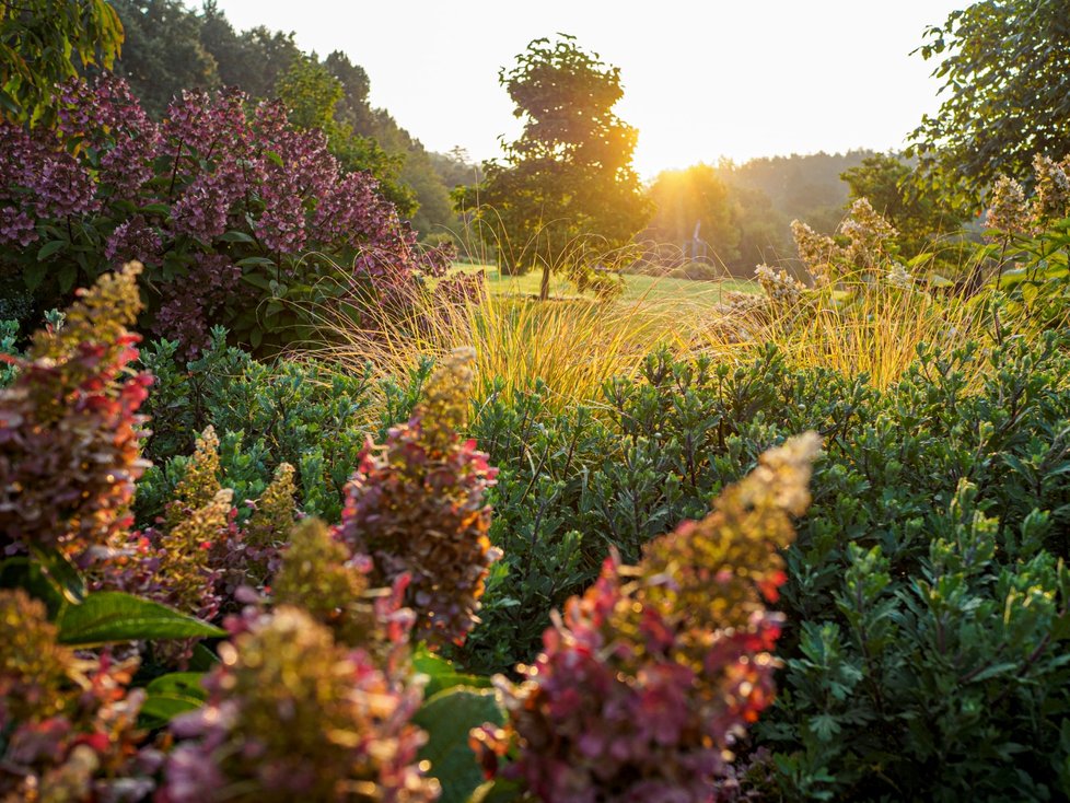 Botanická zahrada v Troji (11. září 2021).