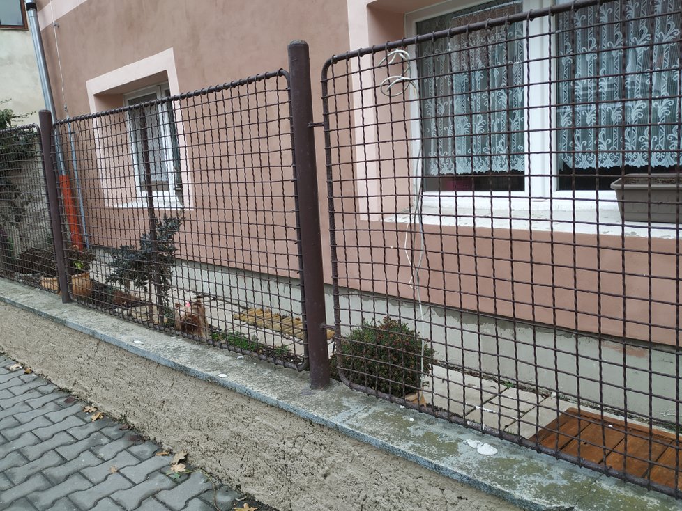 Na dvoře domu, kde Iveta Brixová žije, pobíhali tři psy, nikdo ale neotvíral. Sousedé řekli, že v domě se střídají lidé, přímo Brixovou už ale delší dobu neviděli.