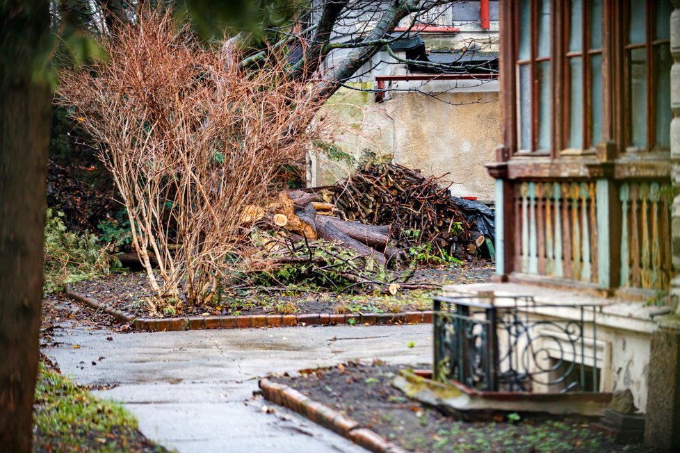 Vila v pražské Bubenči, která patřila zavražděné Marii D