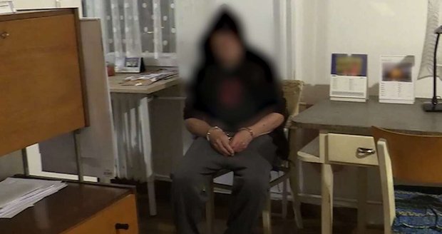 Policisté dopadli Čecha podezřelého z distribuce homosexuálního dětského porna.