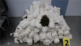 Cizinci pašovali 63 kilo drog! Výhonky katy jedlé vezli v kufrech, celníci je chytli na letišti