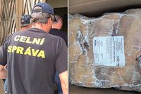 Dodávka plná neoznačeného kachního: Celníci v Praze zadrželi tunu masa