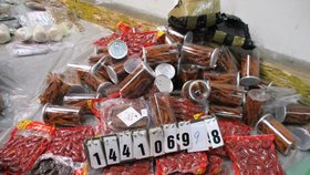 Pořádný úlovek ruzyňských celníků: Našli 957 kilo nelegálně dovezeného masa, ryby i léky