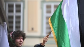 V Praze se konala demonstrace na podporu Palestinců (5. 11. 2023)
