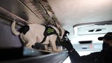Pašované cigarety za stovky tisíc! Celníci v autobusu odhalili důmyslný úkryt, podívejte se
