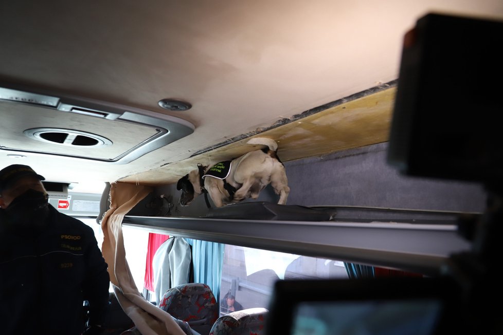 Pražští celníci odhalili autobus s pašovanými cigaretami.