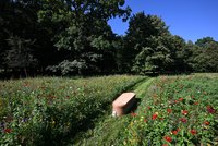 Poslední odpočinek v květinách v proutěné rakvi: V Ďáblicích vzniklo první ekopohřebiště v Česku