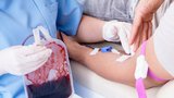 Zoufalá prosba: Kritický nedostatek dárců krve! „Přihlaste se, můžete zachránit život,“ žádá IKEM