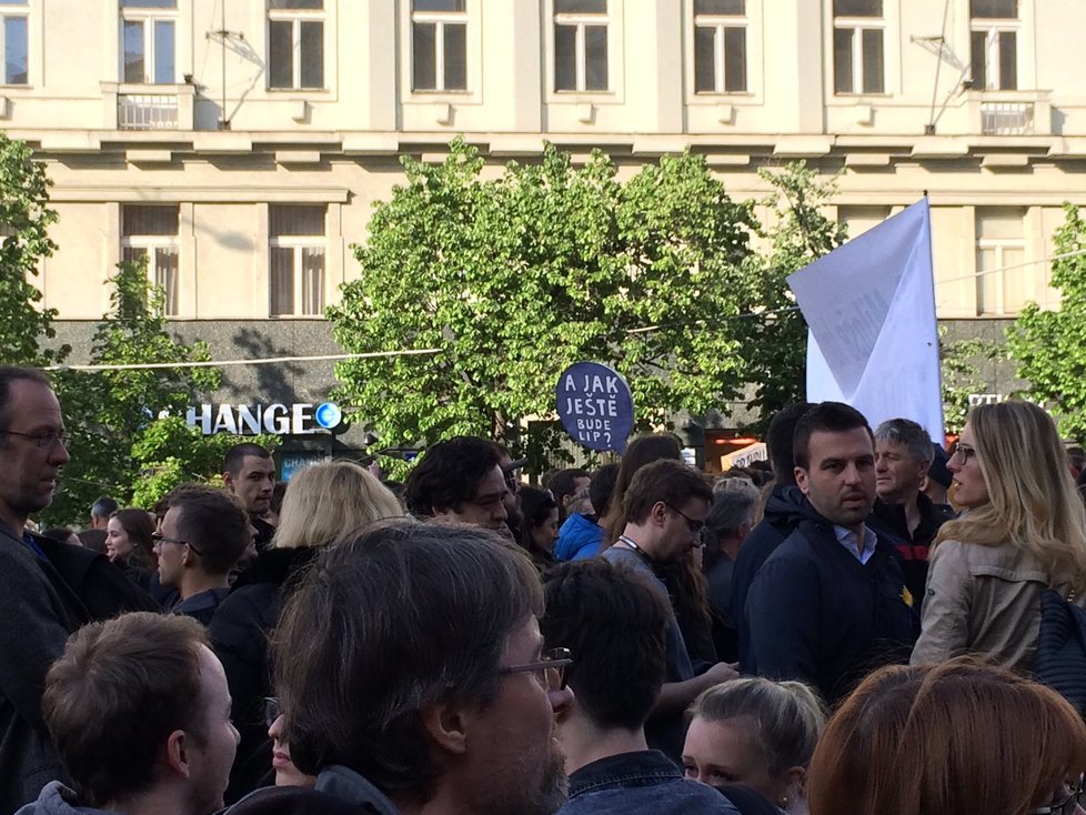 Na demonstraci na Václavském náměstí se sešlo mezi 20 a 30 000 lidí. Proti Babišovi a Zemanovi vystoupily i celebrity