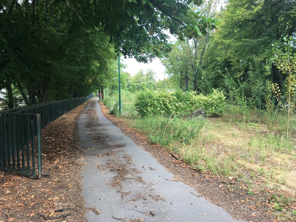 Takto vypadal ostrov ještě loni.