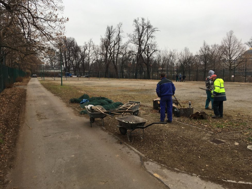 Na Dětský ostrov přijela první technika. Práce by měly skončit v červnu.