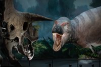 Unikátní výprava zpět v čase: Jurský park vypustil u letiště T-rexe! Nové muzeum dinosaurů otevírá