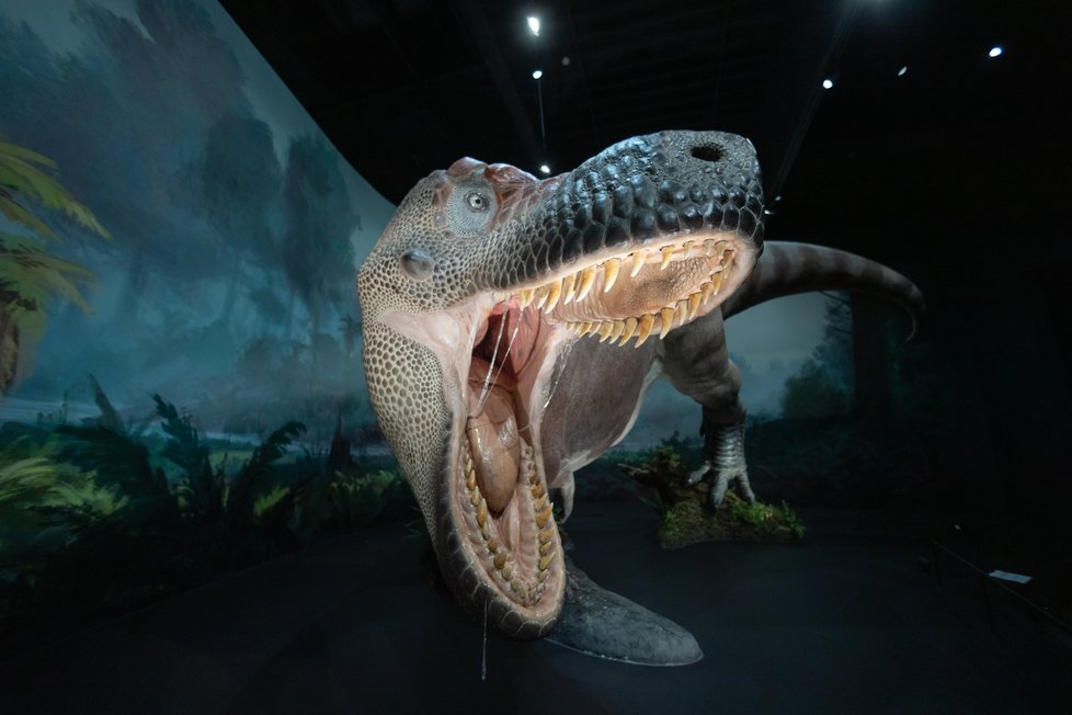 Dinosauria Museum Prague.