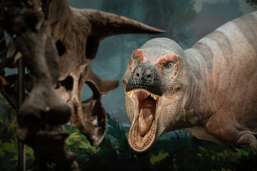 Dinosauria Museum Prague.