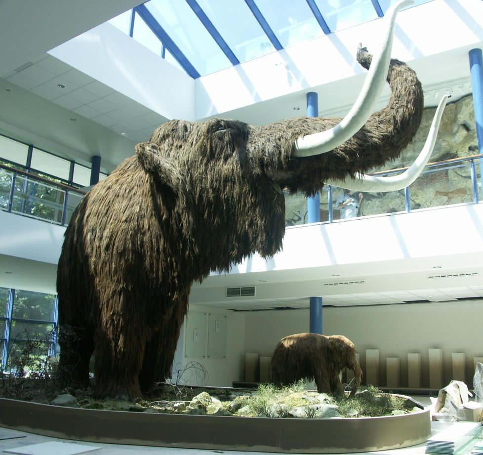 Vědci touží po znovuzrození mamuta.
