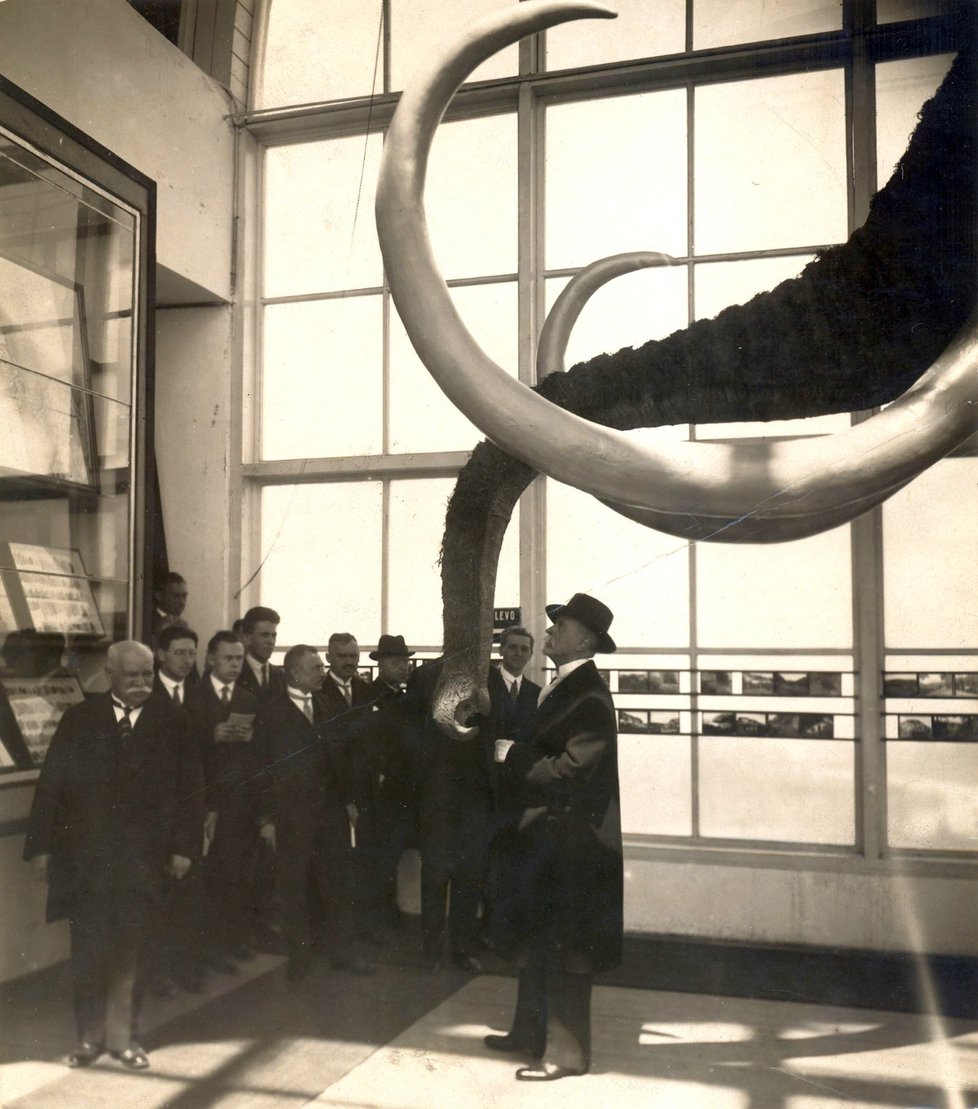 V Pavilonu Anthropos v Brně je dodnes vystavená rekonstrukce mamuta. Pochází z roku 1928.