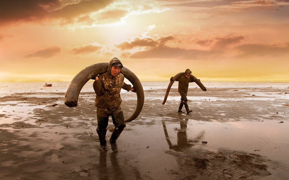 Dnešní lovci mamutů ve Freiově filmu