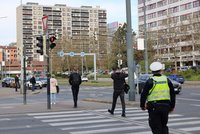 Policejní akce: Během půlhodiny deset chodců na červenou! V Praze letos zavinili už 69 nehod