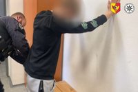 Hyena okradla nemocnou ženu, za dopadením stojí Mickey Mouse