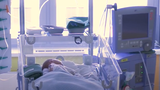Borci z Motola! Lékaři transplantovali srdce novorozené holčičce se srdeční vadou
