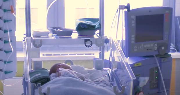 Borci z Motola! Lékaři transplantovali srdce novorozené holčičce se srdeční vadou