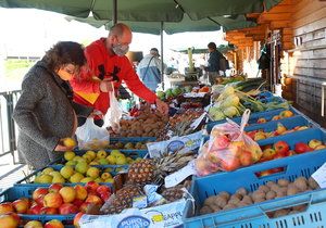 V Dolních Chabrech se bude před radnicí prodávat čerstvé ovoce a zelenina. (ilustrační foto)