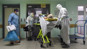 Zdravotníci přivážejí do pražské Fakultní nemocnice v Motole nosítka s pacientem nakaženým koronavirem