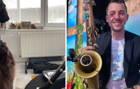 Pes známého hudebníka se „potatil“: Adoptovaný chlupáč Harry je pěvecká superstar!