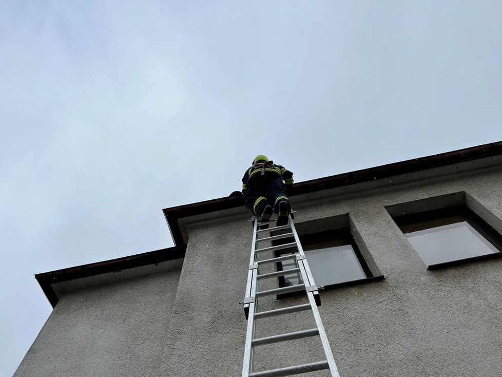 V souvislosti se silným větrem zasahují i pražští hasiči (17. 2. 2022).