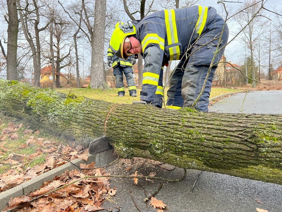 V souvislosti se silným větrem zasahují i pražští hasiči. V ulici Nad Klamovkou rozřezávali spadlý strom přes cestu (17. 2. 2022).