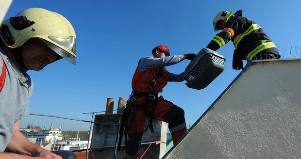 Hasiči zachránili kočičku, co uvízla v okapu: Museli pro ni slanit