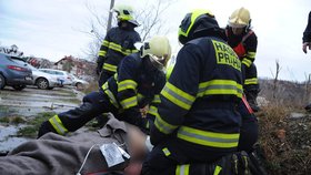 Na hasiče z Libochovic spadl strom. Kamarádi uspořádali sbírku pro rodinu (ilustrační foto).