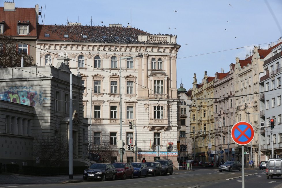 Holubi v Praze mohou podle odborníků přenášet nemoci, lidé by měli být opatrní.